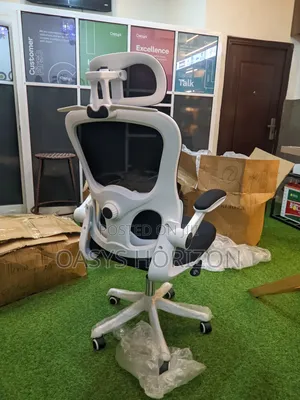 Ergonomic Chair With Lumbar Support