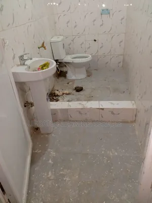 Settle for Nothing Less Other Than a Cleaned Spotless Environment