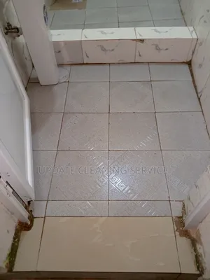 Settle for Nothing Less Other Than a Cleaned Spotless Environment