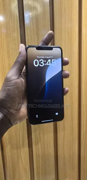 Apple iPhone 11 Pro Max 256 GB Blue