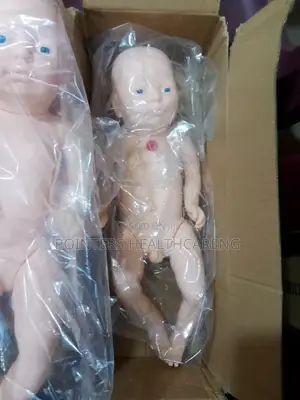 Baby Model Manikin