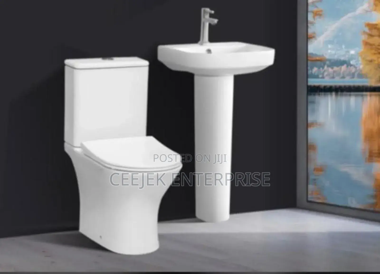 Executive White Water Closet With Basin