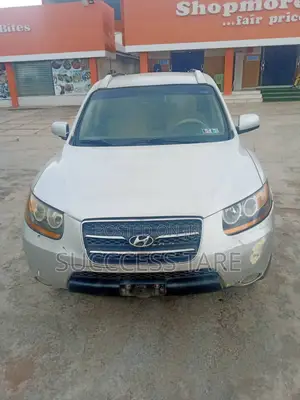 Hyundai Santa Fe 2.2 CRDi 4WD 2007 Gray