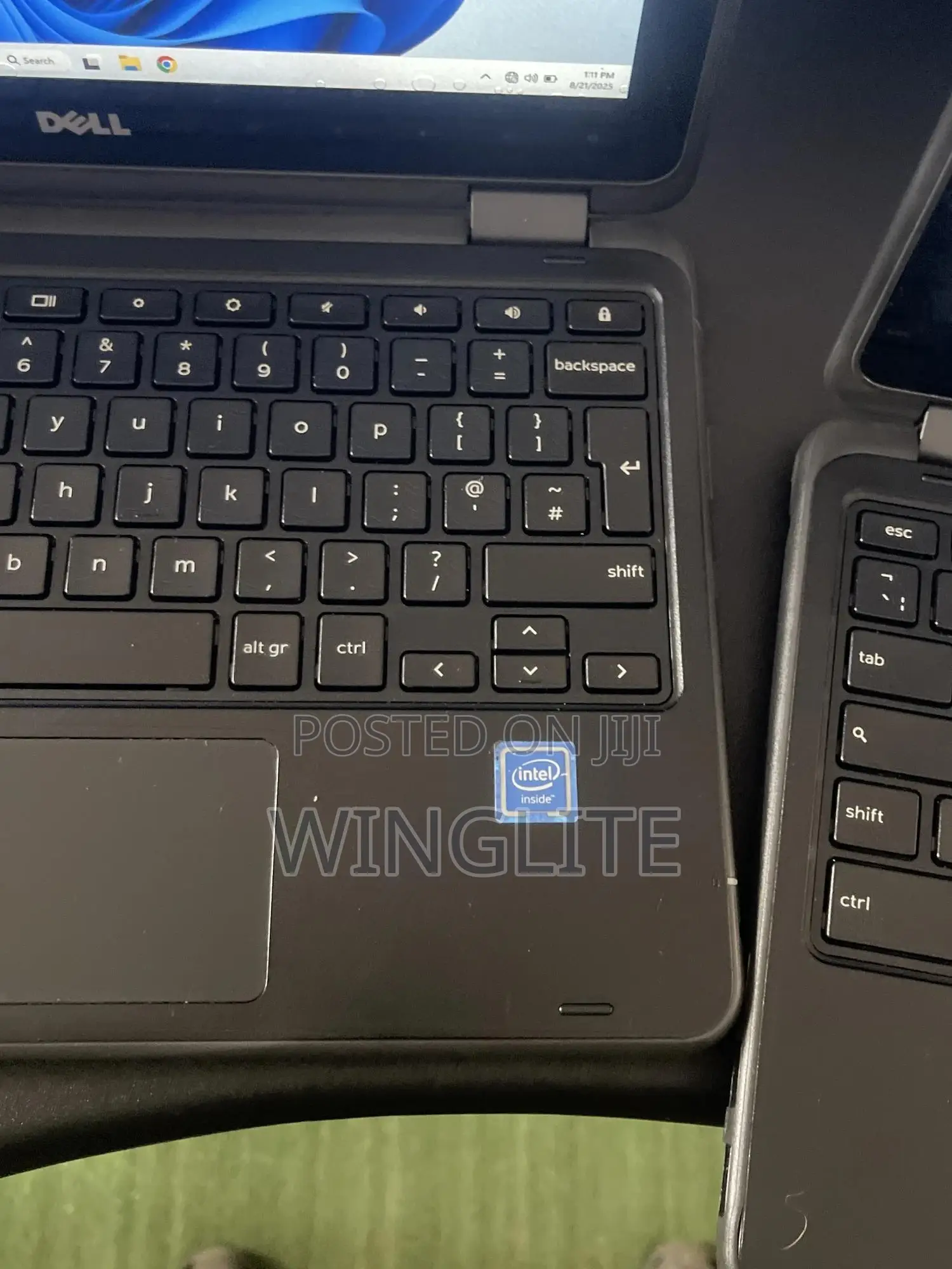 Laptop Dell Latitude 11 3189 4GB Intel Celeron SSD 32GB