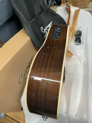Smiger Professional Semi Acoustic Guitar