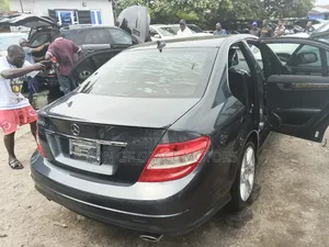 Mercedes-Benz C350 C350 BlueEFFICIENCY 4MATIC AWD 2010 Gray