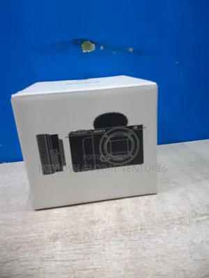 Sony Zv-E1011