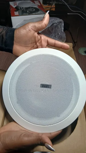 30watts Frame Cieling Speaker With Frame