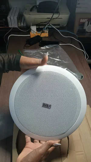 Dht 80 Cieling Speaker