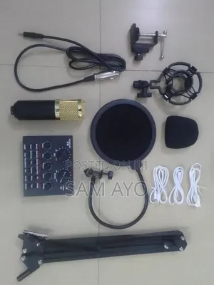 Professional Condenser Microphone + V8 Sound Card
