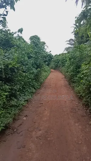 17000 Acres With Provisnal Survey for Farming in Iwajowa LG, Oyo State