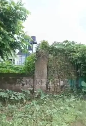 Half Plot of Land With Cofo Suitable for Residential at Ayobo for Slae