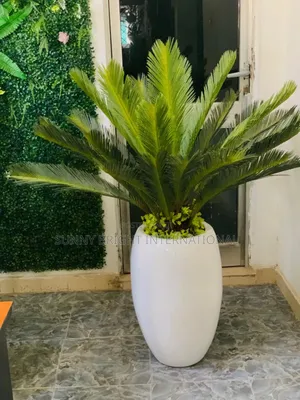 Flower Pot