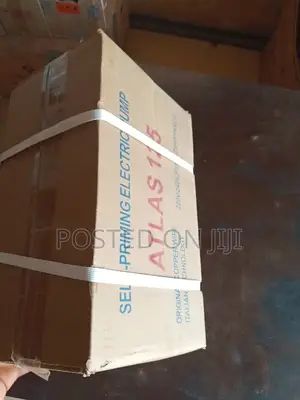 Atlas Surface Pump