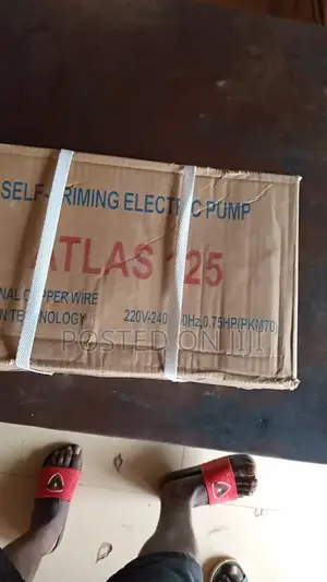 Atlas Surface Pump