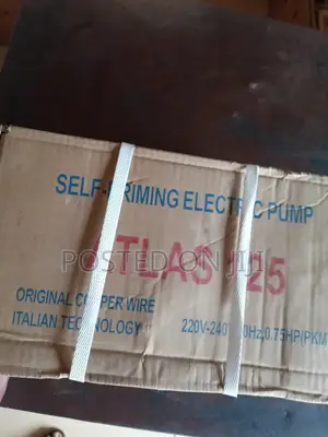 Atlas Surface Pump