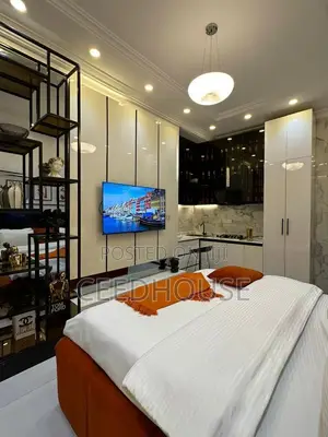 Luxurious Studio Apartment