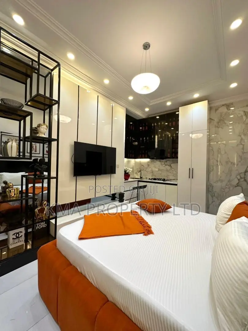 Luxurious Studio Apartment
