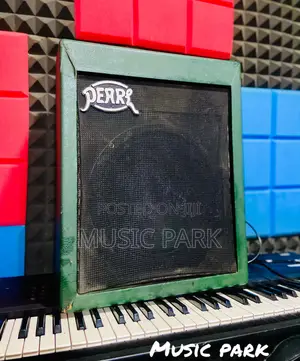 Pearl Bass Guitar Combo