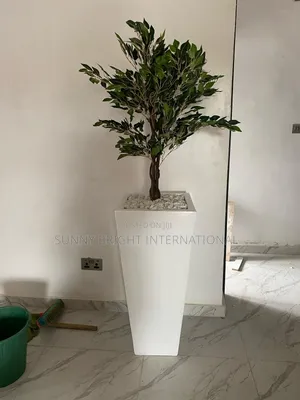 Plant and Flowers Pot