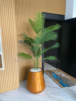 Plant and Flowers Pot