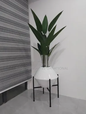 Plant and Flowers Pot