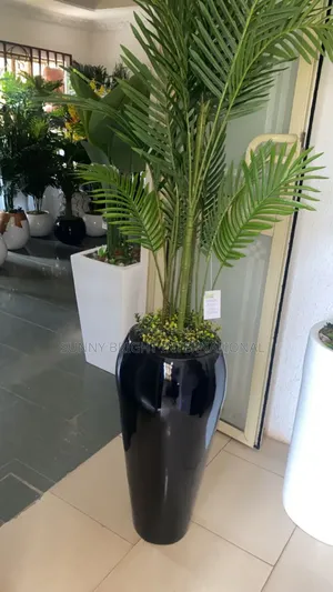 Plant and Flowers Pot