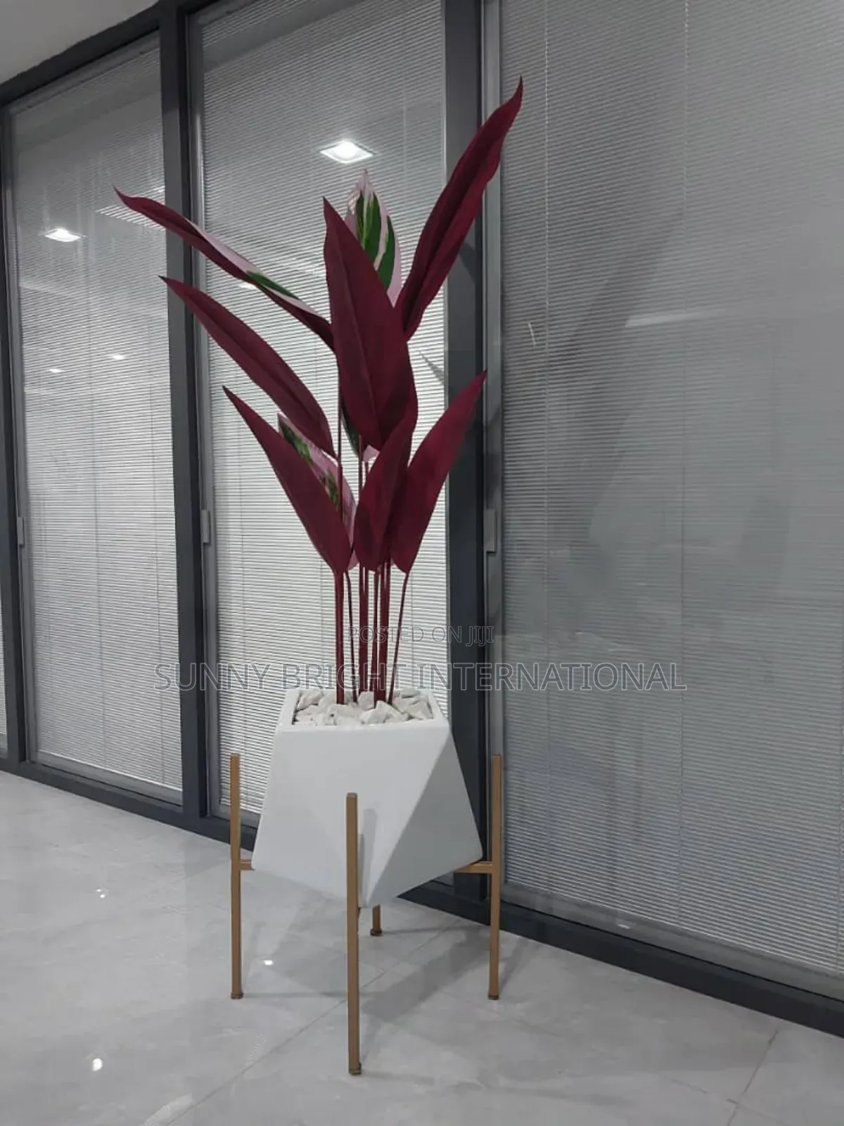 Plant and Flowers Pot