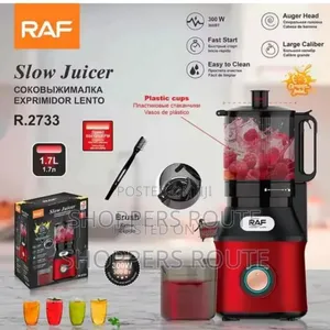 Raf Slow Juicer R 2733