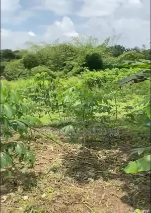Half A Plot