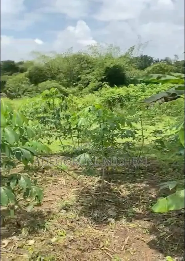 Half A Plot