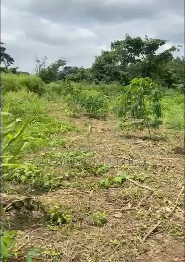 Half A Plot