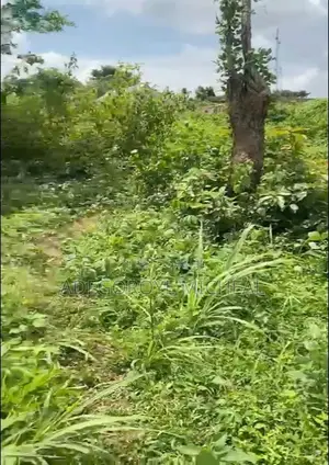 Half A Plot