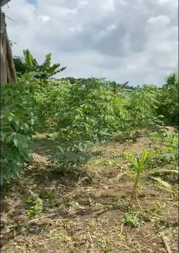 Half A Plot