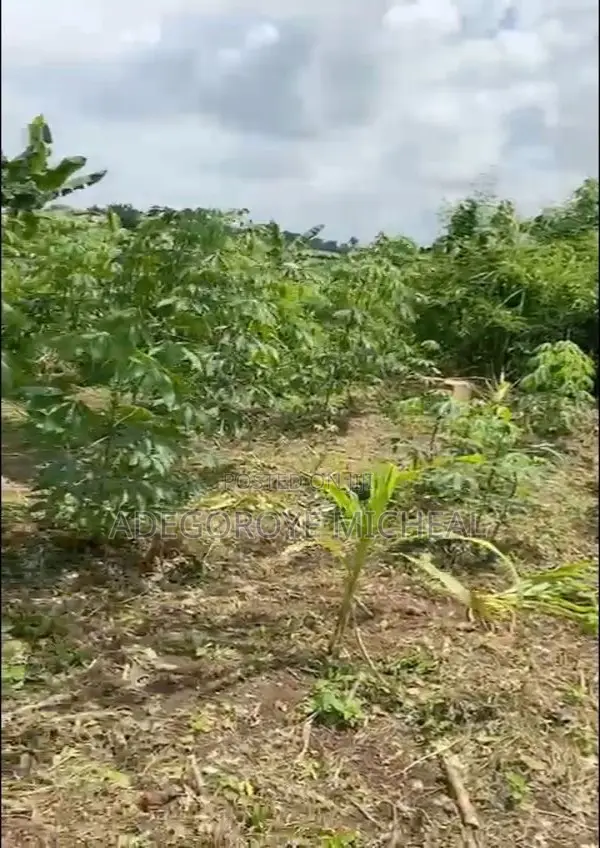 Half A Plot
