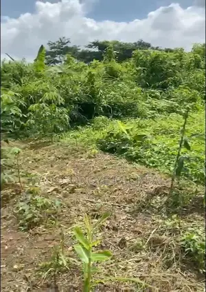 Half A Plot