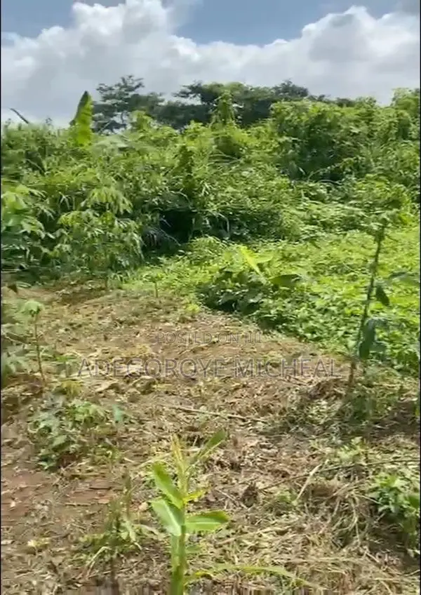 Half A Plot