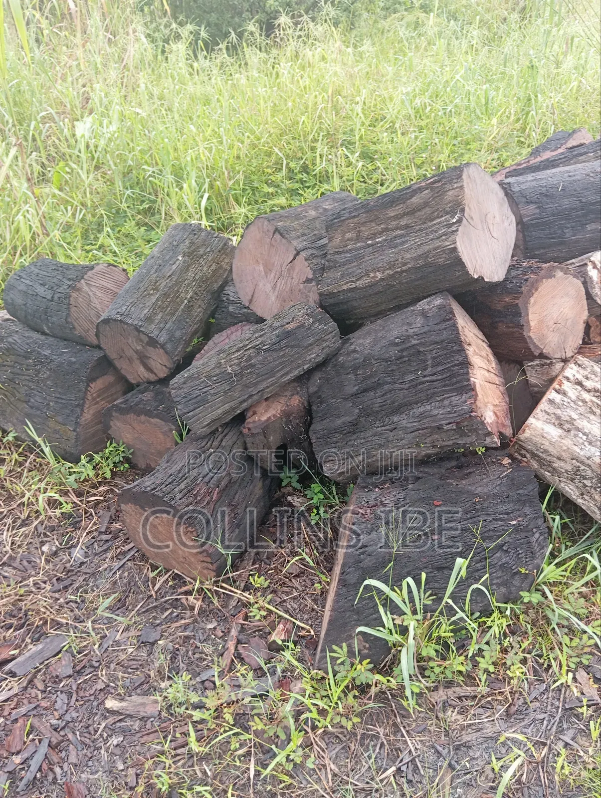 Ukpi Firewood