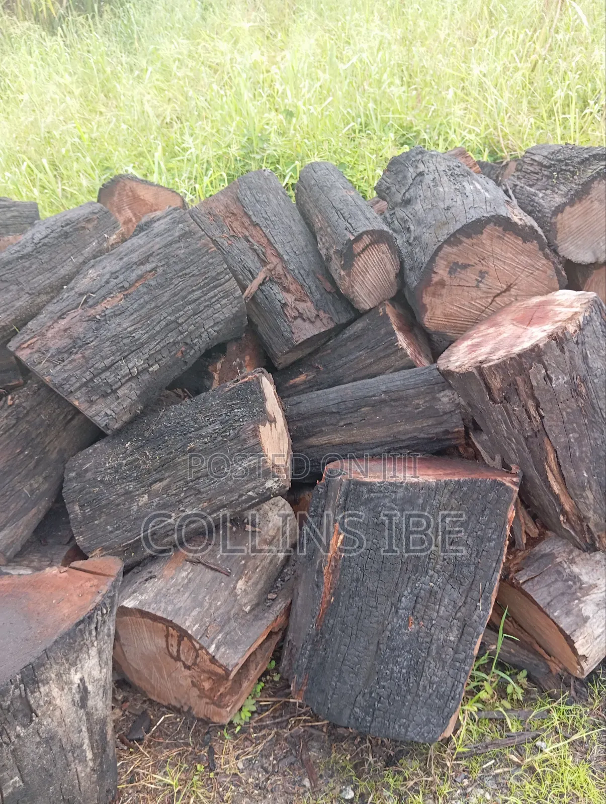 Ukpi Firewood