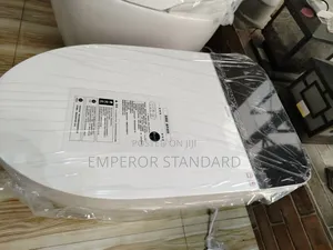 Vip White Smart Wc Automatic/ Manual With Voice Control