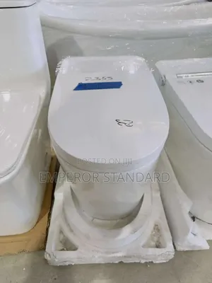Smart Sensor Wc With Remote Control.