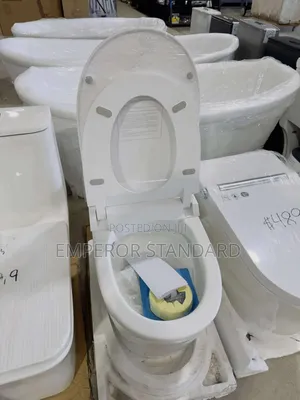 Smart Sensor Wc With Remote Control.