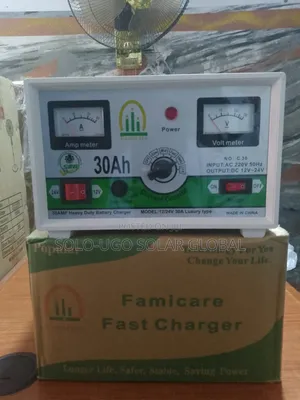 30ah Famicare Fast Charger 12v/24v