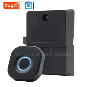 Wifi Tuya Smart Fingerprint Mini Cabinet Lock