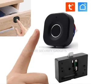 Wifi Tuya Smart Fingerprint Mini Cabinet Lock