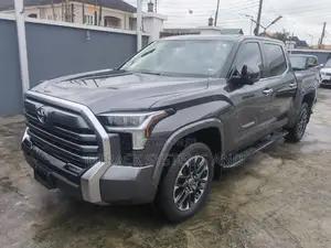 Toyota Tundra Platinum CrewMax 6.5' Bed 2024 Gray