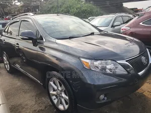 Lexus RX 350 2010 Gray