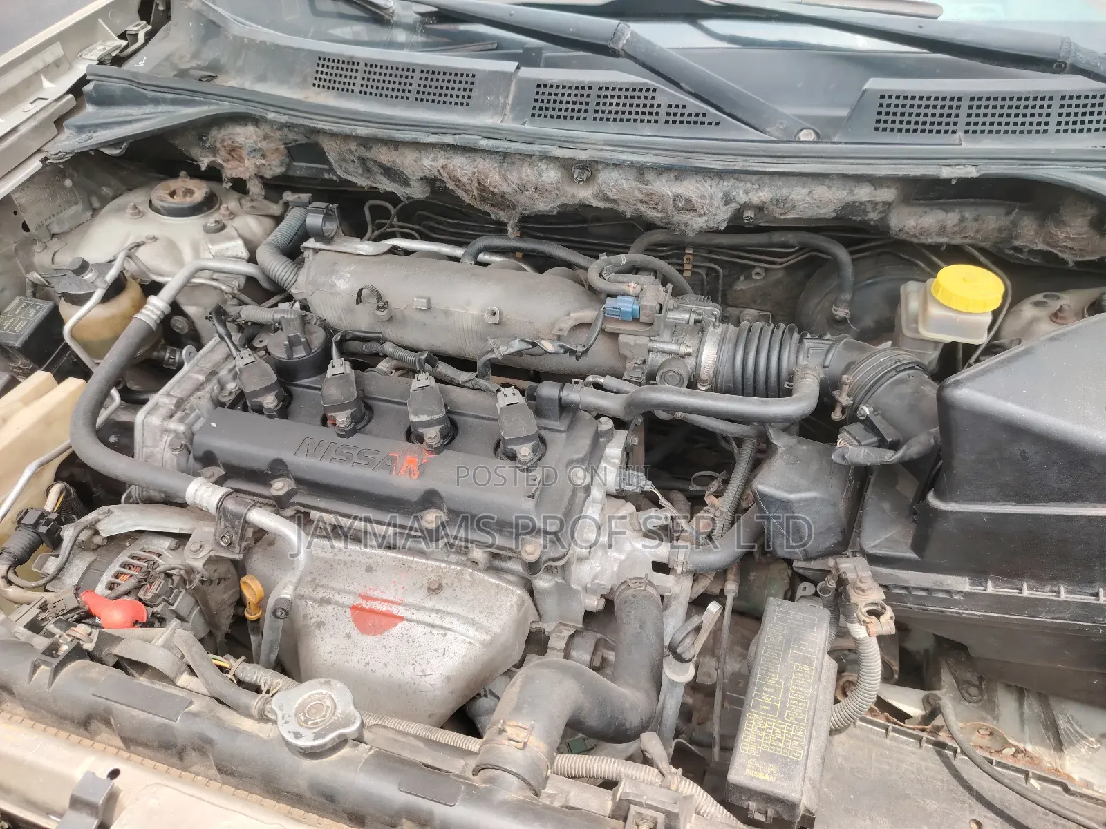 Nissan X-Trail Automatic 2004 Gold