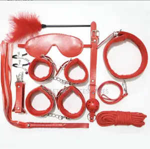 10 Pieces BDSM Kit