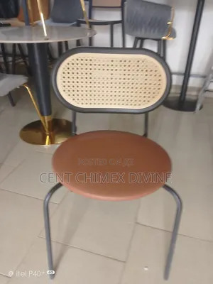 Simple Iron Frame Chair